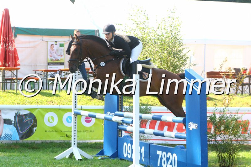 308M9302_Catalano_Springpferde A.JPG